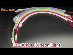 ضوء النيون LED