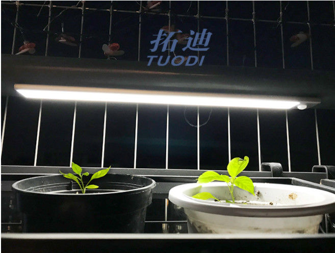 مصباح إضاءة LED مرن قابل لإعادة الشحن بمنفذ USB لاسلكي ، مستشعر حركة ، مصباح إضاءة للخزانة تحت العداد